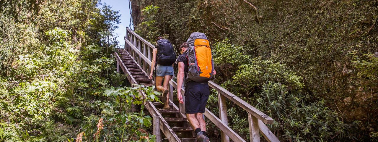 Visit Discover Walks and Hikes