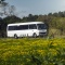 Cross Country Rentals - rental mini bus