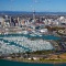 Photo of Bush and Beach Auckland City Revealed - Half Day Tour, Auckland CBD, Auckland Central