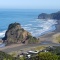 Photo of Bush and Beach Wilderness Experience - Half Day Tour, Auckland CBD, Auckland Central