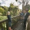 Photo of Bush and Beach Wilderness Experience - Half Day Tour, Auckland CBD, Auckland Central