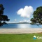 Photo of Auckland City Tour - GreatSights New Zealand, Auckland CBD, Auckland Central